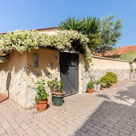 Casa “Oasi Del Mare” Lägenhet Livorno Exteriör bild